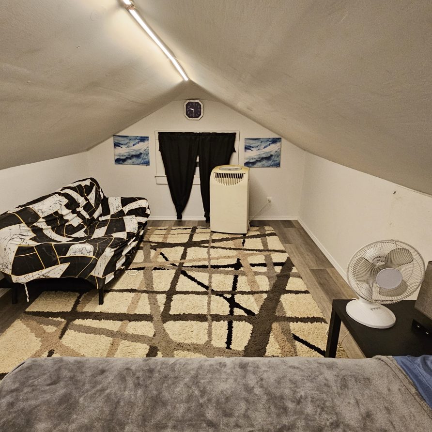 Elm Street Loft – Greensboro room rental (c)